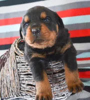 processed/599bd05d-55d1-4fbb-98d1-df9b57296036/listing/7b6082a6-43f1-4c73-828b-d7bed985b9af/6888bb37-4d96-42fc-9efb-8825282452bb