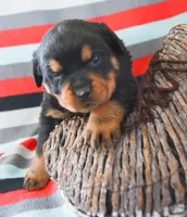 processed/599bd05d-55d1-4fbb-98d1-df9b57296036/listing/7b6082a6-43f1-4c73-828b-d7bed985b9af/d6ffc24d-d438-40cd-9462-f1f5fd95fe9b