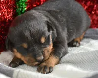 processed/599bd05d-55d1-4fbb-98d1-df9b57296036/listing/7b964fac-6de1-4ea8-b634-b91b5fab5b93/21edc16e-abf5-4d2f-855a-0a5a9b34c7cc