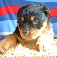 processed/599bd05d-55d1-4fbb-98d1-df9b57296036/listing/7b964fac-6de1-4ea8-b634-b91b5fab5b93/36c22799-fb0e-4d1e-a8ce-d1e9593ebcb6