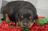 processed/599bd05d-55d1-4fbb-98d1-df9b57296036/listing/7b964fac-6de1-4ea8-b634-b91b5fab5b93/5424c781-d3e7-4373-bd53-5309c157f334