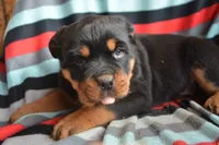 processed/599bd05d-55d1-4fbb-98d1-df9b57296036/listing/7b964fac-6de1-4ea8-b634-b91b5fab5b93/75572a4c-a824-4fe6-b3b9-880ace025d44