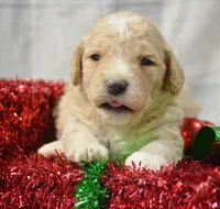 processed/599bd05d-55d1-4fbb-98d1-df9b57296036/listing/aa0419dd-7aed-495e-b9f7-91d401673ed6/c6ef1c09-4ece-48f9-afc6-a2e14e507b96