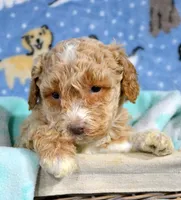 processed/599bd05d-55d1-4fbb-98d1-df9b57296036/listing/aa0419dd-7aed-495e-b9f7-91d401673ed6/e7bb7d24-78ed-49ee-9e72-268b7951c89c