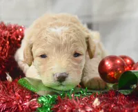 processed/599bd05d-55d1-4fbb-98d1-df9b57296036/listing/d1edc310-0bd0-4ced-860f-fd0cfd115a31/0874233f-7efb-4b93-9fd8-37b54c851a17