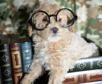 processed/599bd05d-55d1-4fbb-98d1-df9b57296036/listing/d1edc310-0bd0-4ced-860f-fd0cfd115a31/89c8d0fe-9f92-4d09-886b-71bf16f09332