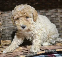 processed/599bd05d-55d1-4fbb-98d1-df9b57296036/listing/d1edc310-0bd0-4ced-860f-fd0cfd115a31/f20799ba-7281-4790-84fc-5b7784765205