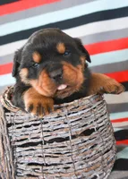 processed/599bd05d-55d1-4fbb-98d1-df9b57296036/listing/eb8dafd9-a087-4802-9024-597166c5ca88/74d5bb35-bd20-4b82-b6ac-95173ab90c49