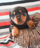 processed/599bd05d-55d1-4fbb-98d1-df9b57296036/listing/ed290949-f228-4da9-a59b-8bf4b36b5645/5eb41fd3-1048-4281-99b9-d95adbefa84d