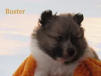 processed/599d4c97-7d36-44d9-8ade-418c180c6be3/listing/77bf9ac5-aadd-4093-b756-d80f2e3edbc8/9c417ba6-553e-44f2-8af4-71d551bc0025