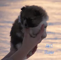 processed/599d4c97-7d36-44d9-8ade-418c180c6be3/listing/77bf9ac5-aadd-4093-b756-d80f2e3edbc8/b10204e2-5485-4be8-a5ce-87571fadc68e