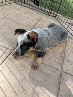 processed/599d90c8-8979-488d-b1bc-fdb566616369/listing/5477944a-af63-4022-a3b0-c6b146b33f25/4746a9cc-54d9-48d0-9320-d1a7c97d01a9