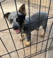 processed/599d90c8-8979-488d-b1bc-fdb566616369/listing/5477944a-af63-4022-a3b0-c6b146b33f25/4821181d-c5c0-48d6-b2cb-1163f7085ee2