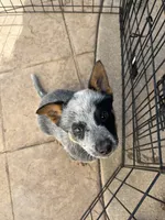 processed/599d90c8-8979-488d-b1bc-fdb566616369/listing/5477944a-af63-4022-a3b0-c6b146b33f25/e4be14d4-60c4-4c23-949c-83999c7456ef