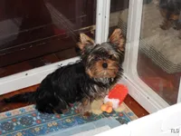 processed/599f869c-d7bb-40d5-a7dc-838bb01764a1/listing/b36abaea-e0a5-42d2-909d-16f95b99ab6c/246b45ec-45bb-4e84-88f1-154a78e06499