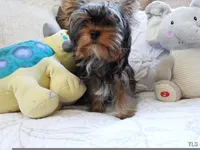 processed/599f869c-d7bb-40d5-a7dc-838bb01764a1/listing/b36abaea-e0a5-42d2-909d-16f95b99ab6c/56b0ee9c-379d-4b39-b56e-11525200014e