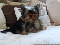 processed/599f869c-d7bb-40d5-a7dc-838bb01764a1/listing/b36abaea-e0a5-42d2-909d-16f95b99ab6c/5865ac44-6272-4b9b-a7ba-af34622964df