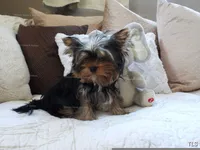 processed/599f869c-d7bb-40d5-a7dc-838bb01764a1/listing/b36abaea-e0a5-42d2-909d-16f95b99ab6c/7096a05a-6577-488b-b8b9-5809026af0cd