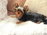 processed/599f869c-d7bb-40d5-a7dc-838bb01764a1/listing/b36abaea-e0a5-42d2-909d-16f95b99ab6c/b6ad0a9c-ffb3-4535-90ac-d088966a7121