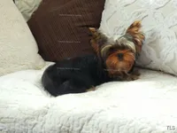 processed/599f869c-d7bb-40d5-a7dc-838bb01764a1/listing/b36abaea-e0a5-42d2-909d-16f95b99ab6c/c2fb3c80-b0f7-4803-9c8a-c38b2d1ad310