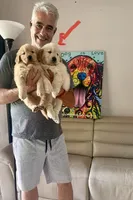 Red Mary, a female Golden Retriever for sale in Miami, FL – 5 of 6