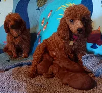 processed/59be773b-3c64-4137-a1f6-e8021c612f87/facility/26a8b324-0b5f-4291-82af-cffa8dda20fa