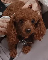 processed/59be773b-3c64-4137-a1f6-e8021c612f87/facility/37331631-218e-41f0-aaec-28b89d949c1f