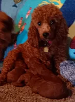 processed/59be773b-3c64-4137-a1f6-e8021c612f87/facility/78d2ec6e-8384-4f61-8944-2dc5f8eed357