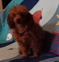 processed/59be773b-3c64-4137-a1f6-e8021c612f87/facility/df7c215d-5aaf-4d57-9afb-97e9830573ce