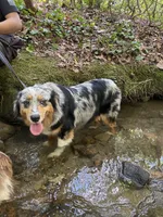 processed/59c02398-198f-4419-aaad-aa6d5285606f/facility/43e4114e-8144-434b-a188-0b2f166bb5c3