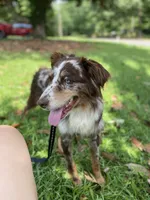 processed/59c02398-198f-4419-aaad-aa6d5285606f/facility/485d5ecf-ef48-48cb-a1fe-3cf2a1000e54