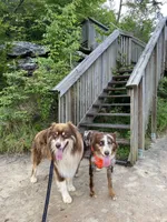 processed/59c02398-198f-4419-aaad-aa6d5285606f/facility/61cbfb9e-c0da-45e6-87e1-195dd3fd34a3