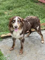 processed/59c02398-198f-4419-aaad-aa6d5285606f/facility/6988ee9b-f8b4-493b-943a-e97262a234da