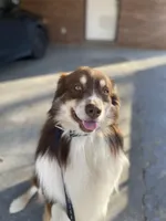 processed/59c02398-198f-4419-aaad-aa6d5285606f/facility/8c1eba5b-e8c3-416f-ba4c-ba39c558a40c