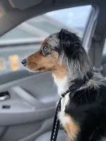 processed/59c02398-198f-4419-aaad-aa6d5285606f/facility/aa557a0d-ca5b-48d0-bff4-2454b48f7d0b