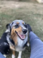 processed/59c02398-198f-4419-aaad-aa6d5285606f/facility/ebfb944b-ee88-4dde-9f1a-b86fe8025232