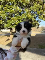 processed/59c02398-198f-4419-aaad-aa6d5285606f/listing/73f95768-5b28-477d-8cf8-50a4c1d3db26/0b23cfbf-2838-463f-8e6a-6d236e99c6c2