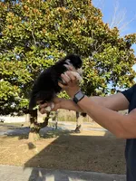 processed/59c02398-198f-4419-aaad-aa6d5285606f/listing/73f95768-5b28-477d-8cf8-50a4c1d3db26/5381638a-3362-4238-b92c-93e34ffa3fe7