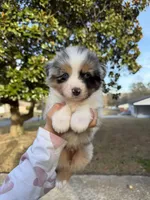 processed/59c02398-198f-4419-aaad-aa6d5285606f/listing/a311c6b3-752a-4e6f-a09c-273f8a876ac0/56d8def1-93d8-4aa8-8baf-0a32de50bd80