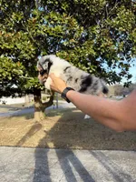 processed/59c02398-198f-4419-aaad-aa6d5285606f/listing/a311c6b3-752a-4e6f-a09c-273f8a876ac0/59fdcd4c-5152-4a84-8991-69c661f90316