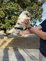 processed/59c02398-198f-4419-aaad-aa6d5285606f/listing/a311c6b3-752a-4e6f-a09c-273f8a876ac0/d284a5ea-1f65-4955-9e96-538da832742c