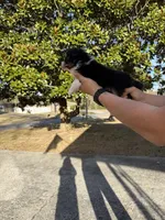 processed/59c02398-198f-4419-aaad-aa6d5285606f/listing/f6c42034-f312-40d1-b2dd-d5972a6be7ab/e1471f9f-58b0-4e53-9639-22a29670404f