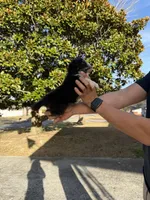 processed/59c02398-198f-4419-aaad-aa6d5285606f/listing/f6c42034-f312-40d1-b2dd-d5972a6be7ab/f213a79b-0edf-4717-84e0-96a694e8ae10