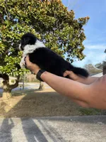 processed/59c02398-198f-4419-aaad-aa6d5285606f/listing/fe04588f-a51e-4c4e-8a60-f1c764eccae3/06329f1e-657a-4893-8f33-683adc110759