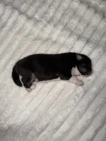 processed/59c02398-198f-4419-aaad-aa6d5285606f/listing/fe04588f-a51e-4c4e-8a60-f1c764eccae3/61731c1d-c528-47b9-b5b1-bd245afa36c7