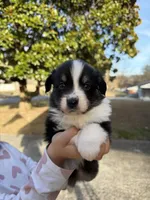 processed/59c02398-198f-4419-aaad-aa6d5285606f/listing/fe04588f-a51e-4c4e-8a60-f1c764eccae3/e059daab-5896-4045-b86a-2ff90a5064f1