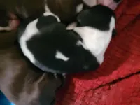 processed/59d08490-a99e-47fc-b257-fab2b7eff9ed/listing/19470015-9fed-4f03-8edf-4ddf5c51a876/24bb21e3-bb63-4fe7-a259-ccf821b5cd5f