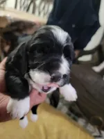 processed/59d08490-a99e-47fc-b257-fab2b7eff9ed/listing/4a677b37-8e20-4d84-8138-0a18f322dbc3/03b97216-c435-499f-b1c2-688bb03025b8