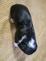 processed/59d08490-a99e-47fc-b257-fab2b7eff9ed/listing/4a677b37-8e20-4d84-8138-0a18f322dbc3/c4a92cae-73ba-418c-ae83-acaa31d1148e