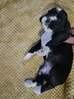 processed/59d08490-a99e-47fc-b257-fab2b7eff9ed/listing/4a677b37-8e20-4d84-8138-0a18f322dbc3/ed89f18d-1e84-4941-b89a-09ef6c14e08b